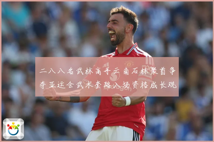 二八八名武林高手云南石林聚首争夺亚运会武术套路入场资格成长观察