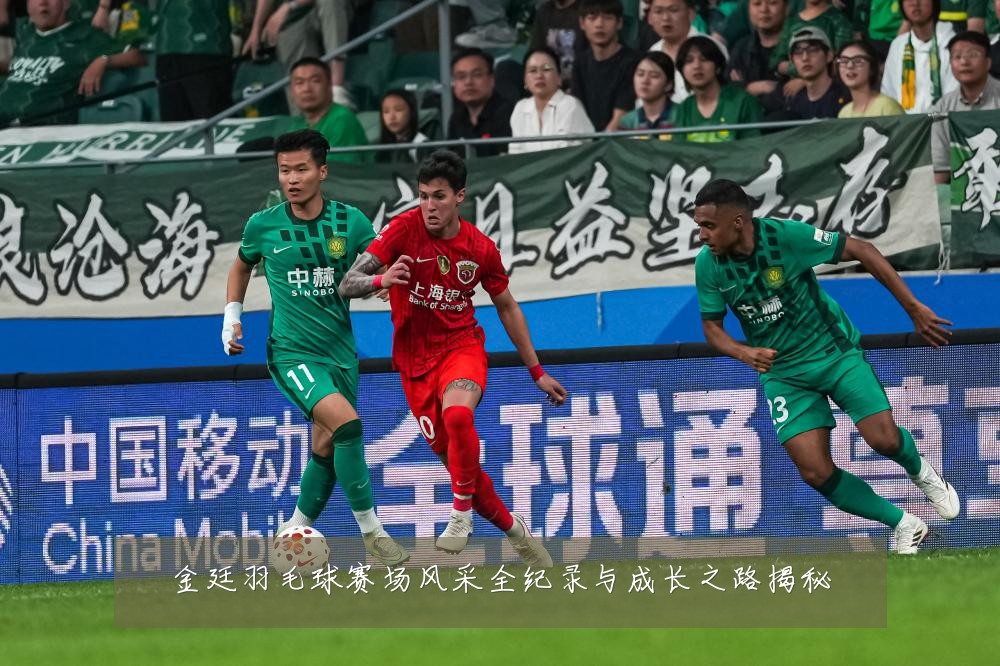 金廷羽毛球赛场风采全纪录与成长之路揭秘