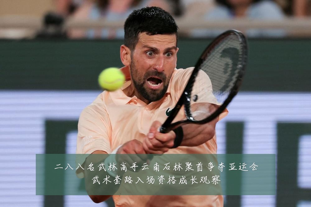 二八八名武林高手云南石林聚首争夺亚运会武术套路入场资格成长观察